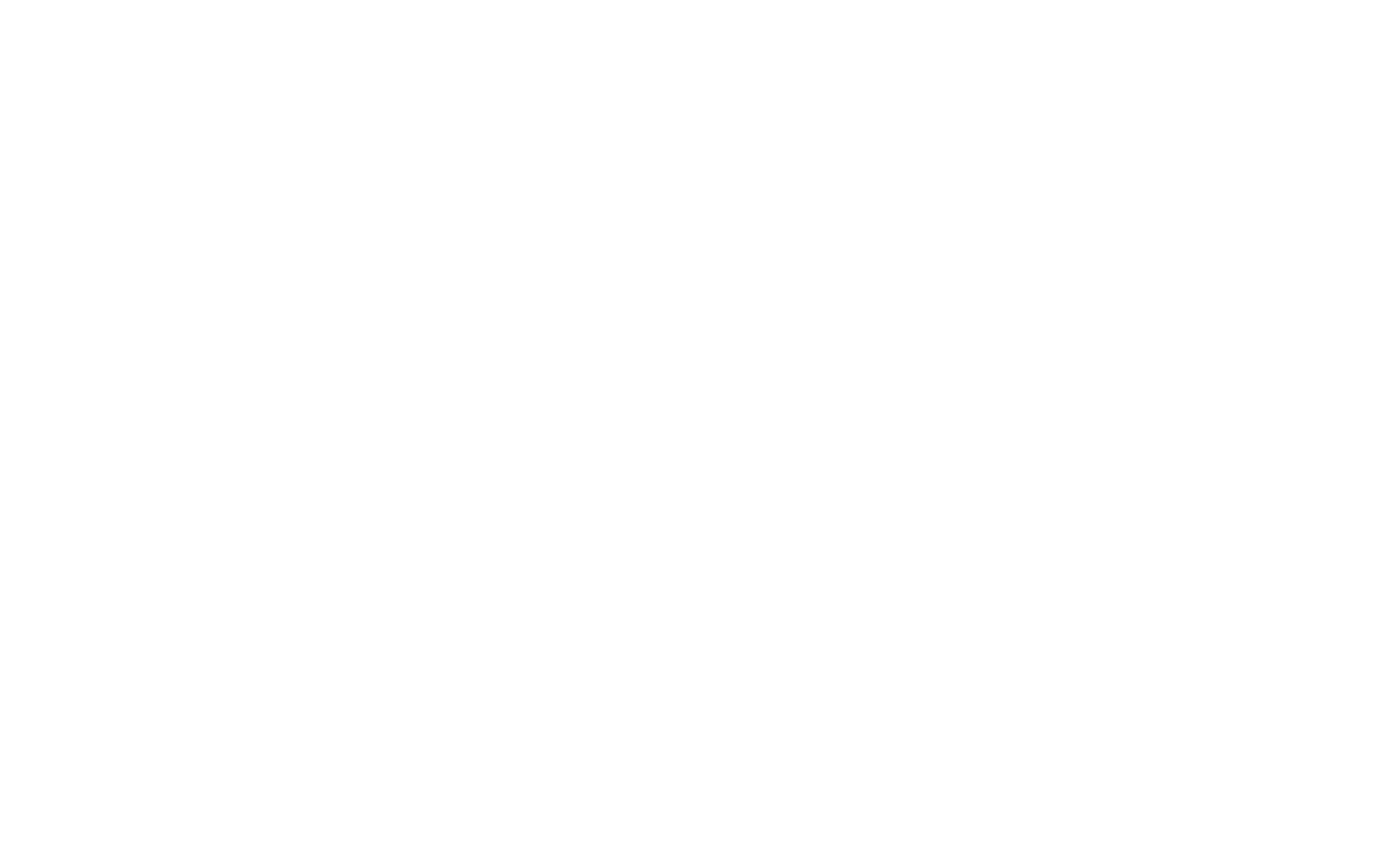 Hyundai Logo